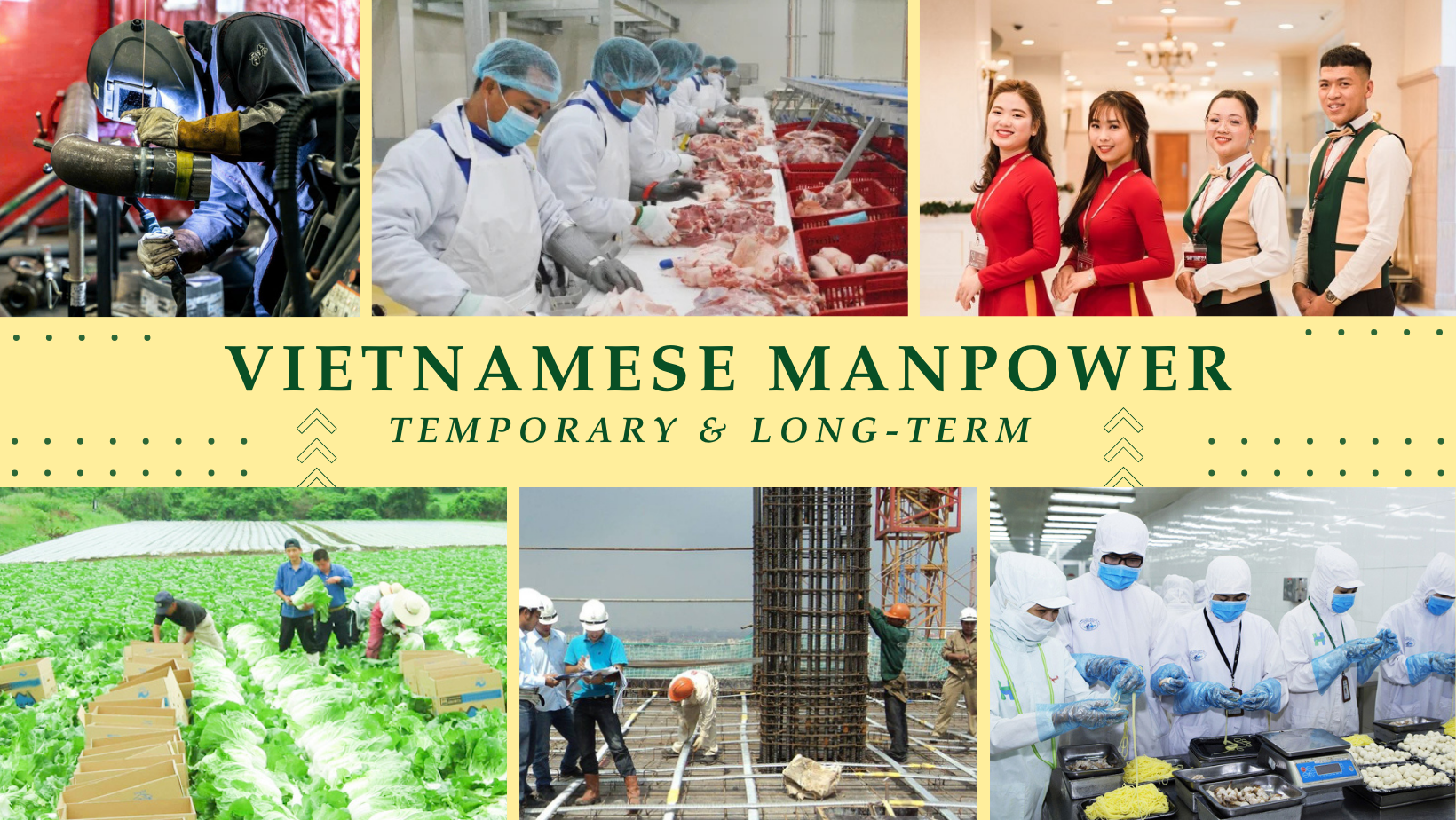 GLC Group’s Main Industries – Vietnamese Workforce